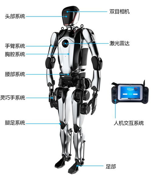 谁会成为人形机器人第一城